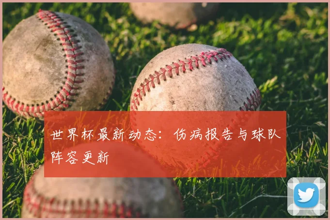 世界杯最新动态：伤病报告与球队阵容更新